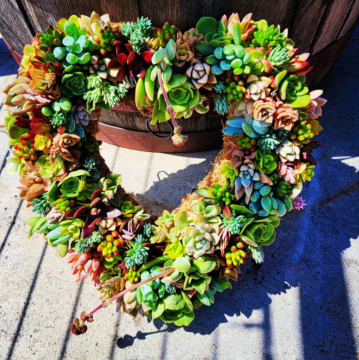 StemtationsSD's tweet photo. Succulent heart wreath workshop this Saturday in Point Loma @EppigBrewing !!  To register, please see the link on our page. https://t.co/Ctd0ZDpQcv