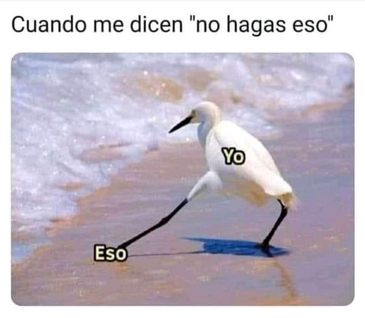 noemi_maruri's tweet photo. Upss si soy 🤭🤭😅😁 https://t.co/UFOpHc8fr0