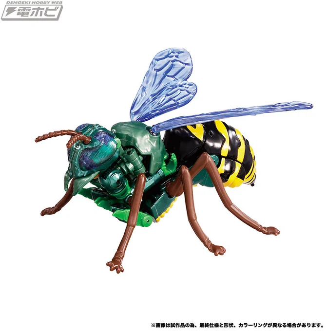 複眼が綺麗