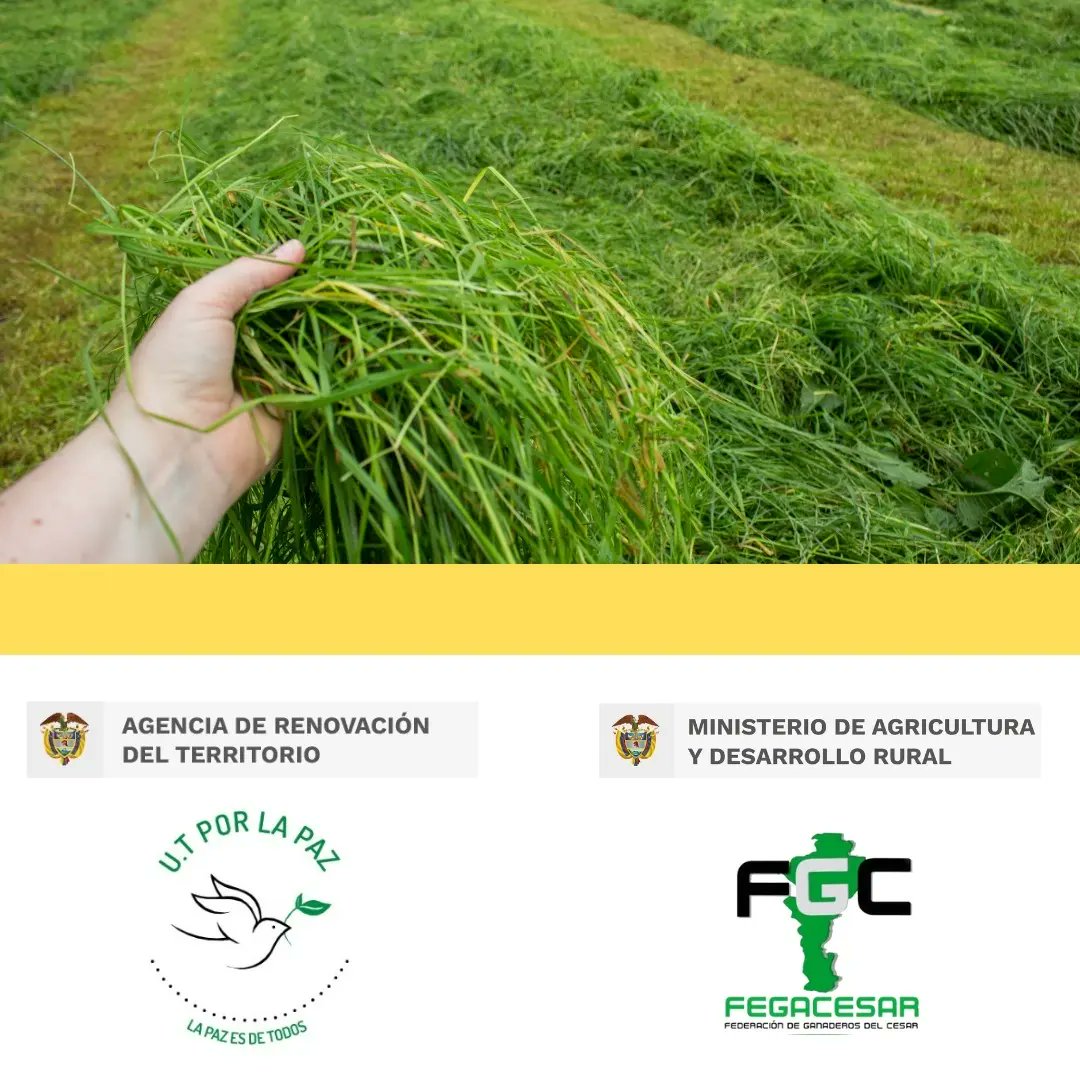 Seguiremos trabajando de la mano para llegar a nuevos territorios.