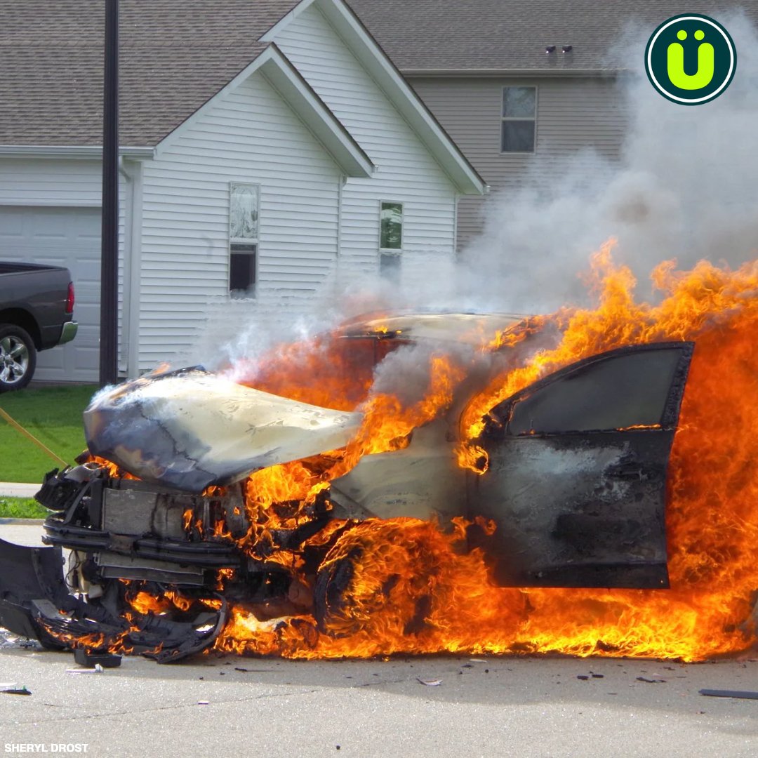 UberFacts's tweet photo. Mazda has issued at least two recalls related to spider infestations that could cause their vehicles to catch fire https://t.co/5p8t2EYF3z