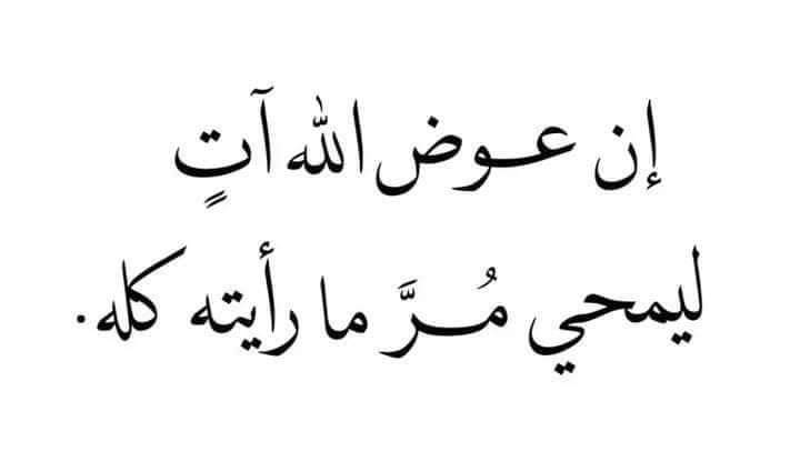 Gidaa Yasser (@gidaayasser) on Twitter photo 