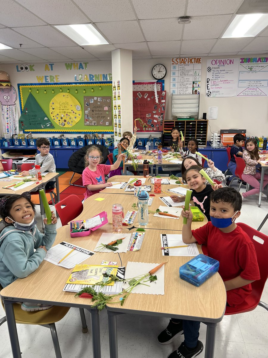 MissBokum's tweet photo. Plant tasting Part 1! Today we tried leaves, stems, and roots...oops! Meant spinach, celery, and carrots 😃 Veggies are fun! https://t.co/uuB5ULRedy