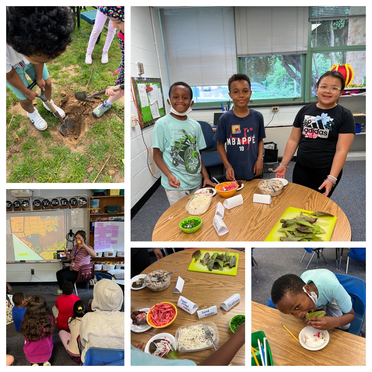 Caroline (McAleer) Ross (@mrs_rossclass) on Twitter photo Learning about soil with <a href="/CampbellOutside/">Amanda Lowenberger</a> made us hungry. We enjoyed lettuce wraps with veggies from the Campbell garden today. <a href="/CampbellAPS/">Maureen Nesselrode</a> Learning about soil with <a href="/CampbellOutside/">Amanda Lowenberger</a> made us hungry. We enjoyed lettuce wraps with veggies from the Campbell garden today. <a href="/CampbellAPS/">Maureen Nesselrode</a>