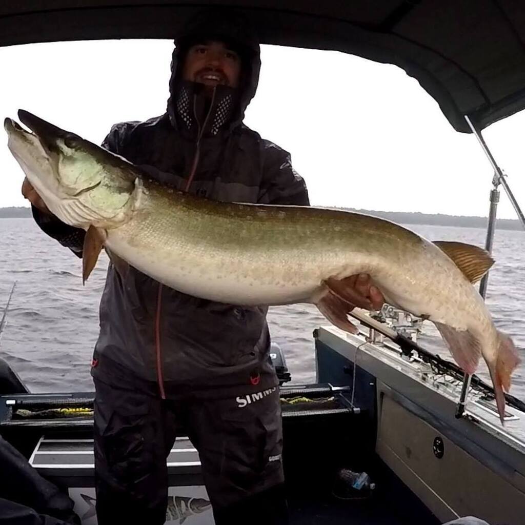 MuskyInsider's tweet photo. – @massivesox is a hardcore out-east musky guide who's put a BUNCH of muskies in the boat – he's an excellent addition to the list of speakers we have lined up to speak for the Musky Insider community.

Check the link in our bio for more info! (signup deadline is this Wednesday) https://t.co/Oqxks87JYS