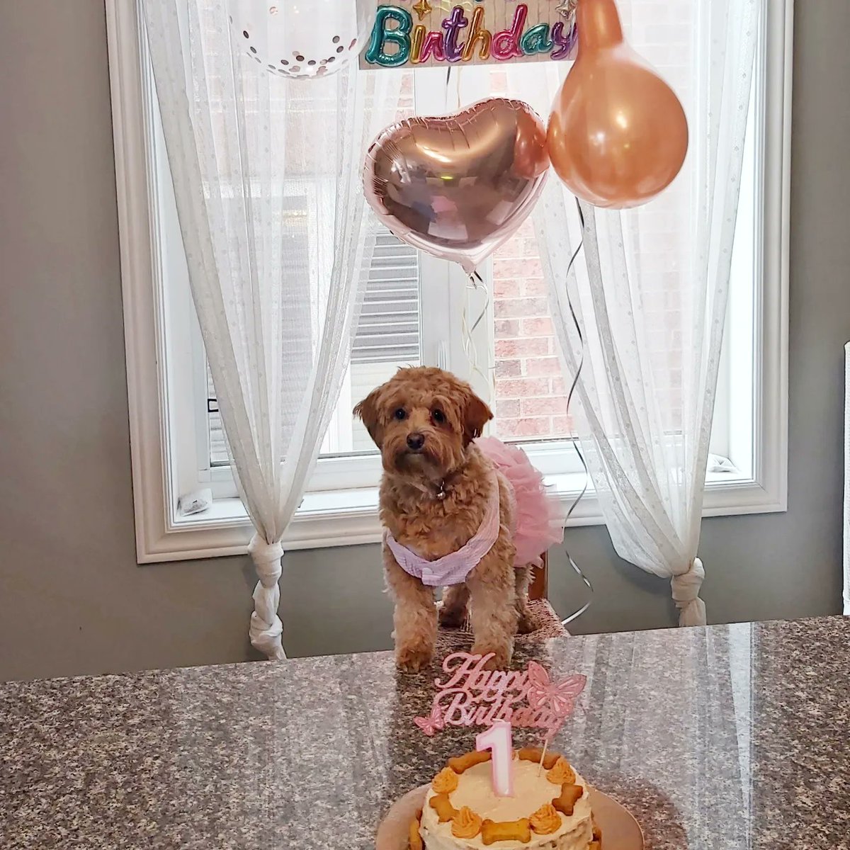 Emily Lam tweet media