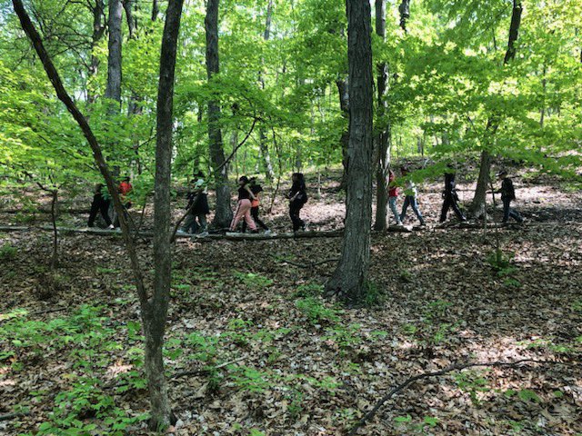 Liberty Avenue MS (19K662) tweet media