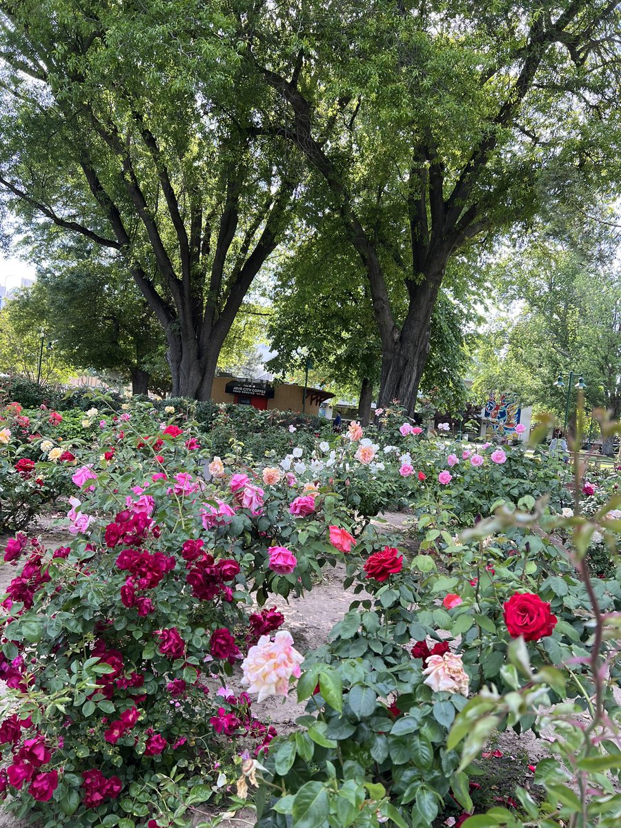 A beautiful day at <a href="/sacstate/">Sacramento State</a>
