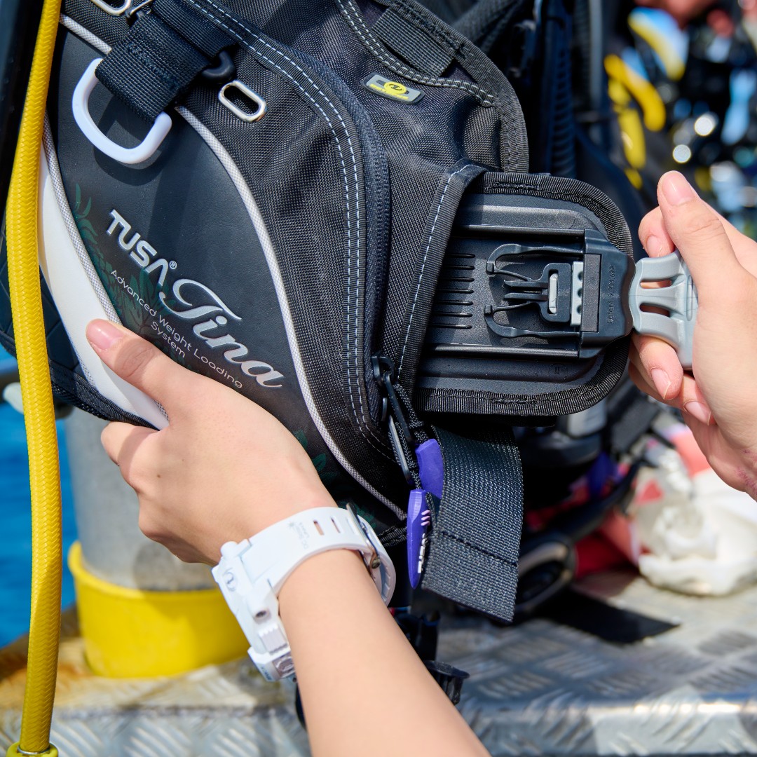 TUSADiving's tweet photo. The Tina Effect.π
Who's rocking their TUSA Tina BCJ?
...
#TUSA #FindYourOcean #ExploreMore #scubadiving #exploretheocean #divingequipment #scubadivinggear #diver #oceanlife #letsdive #womenwhodive https://t.co/GNma5Ed2Vt