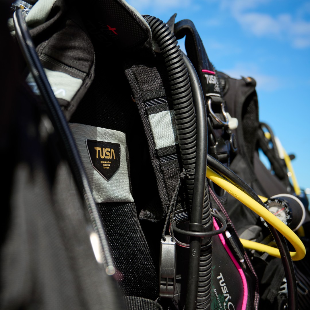 TUSADiving's tweet photo. The Tina Effect.π
Who's rocking their TUSA Tina BCJ?
...
#TUSA #FindYourOcean #ExploreMore #scubadiving #exploretheocean #divingequipment #scubadivinggear #diver #oceanlife #letsdive #womenwhodive https://t.co/GNma5Ed2Vt
