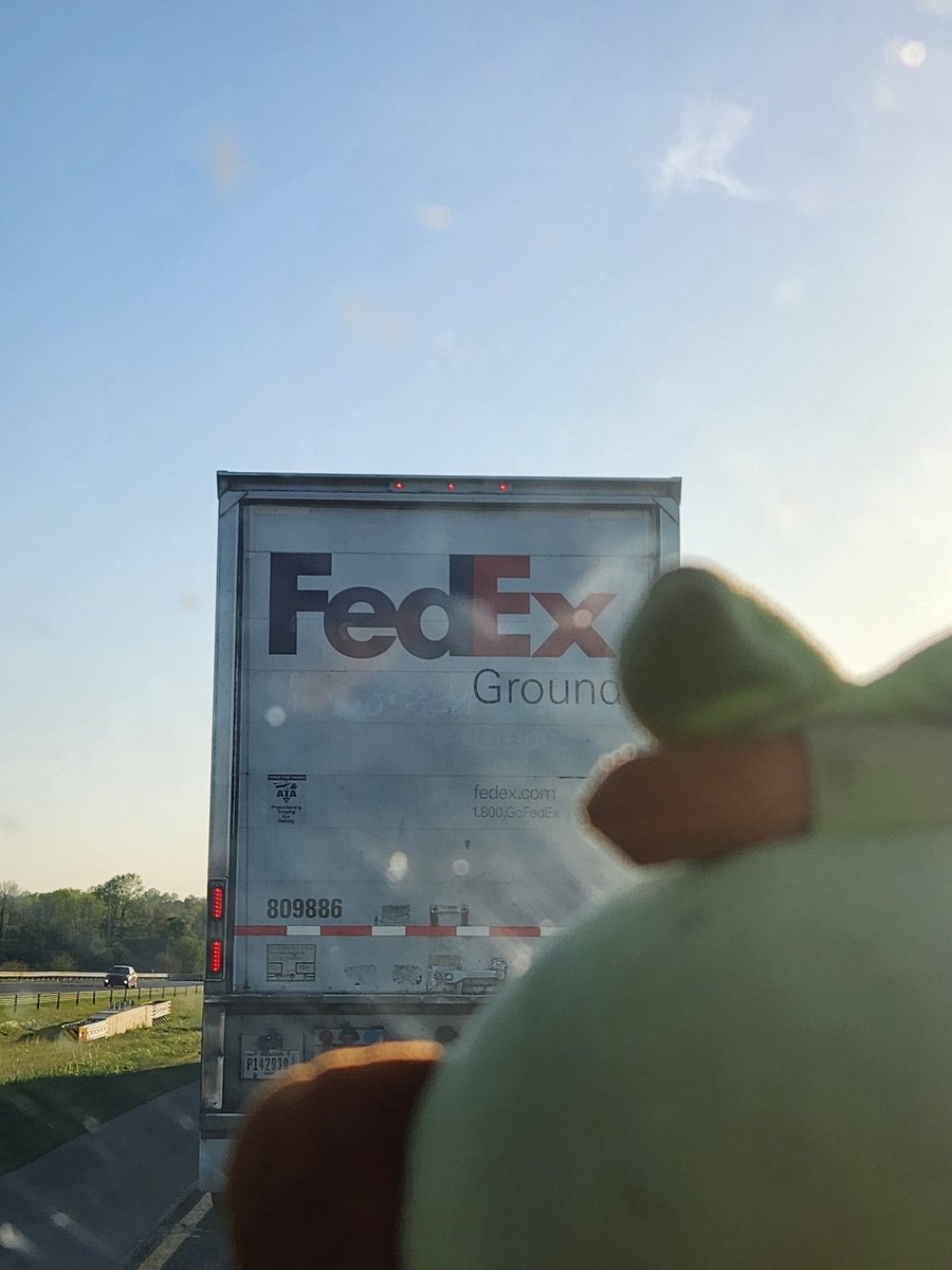 PGrookey's tweet photo. I'm just gonna follow him to scorbunnies house @plushScorbunbun #fedexsucks #groekigoinplaces #fedexdelivery https://t.co/r7swk4gK5I