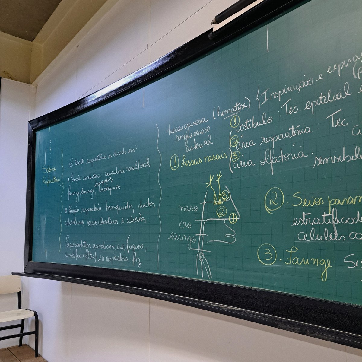 studygioo's tweet image. ♡ 09.05.2023 • aula teorica de histologia