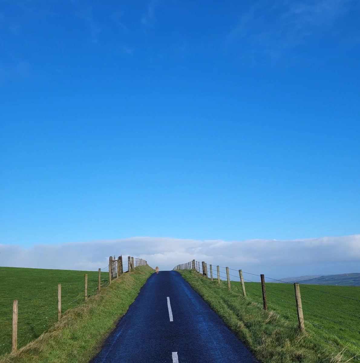 DG_Craig's tweet photo. Along the Coast Road - Out now.  https://t.co/vQdojl67HM #BookRecommendations #booktwt #Ireland #SunnyDay #coastroad #alongthecoastroad #NewBook #BookTwitter #RomanceReaders #Readers #Bluesky #greenfield https://t.co/OubYTdbEG5