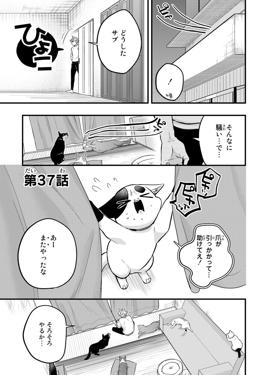 【5/10更新】
拾われ子猫と元ヤクザ/カミムラリドル
第37話 触れるものみな傷つけてきた……。
https://t.co/0rQU2vmsN9 