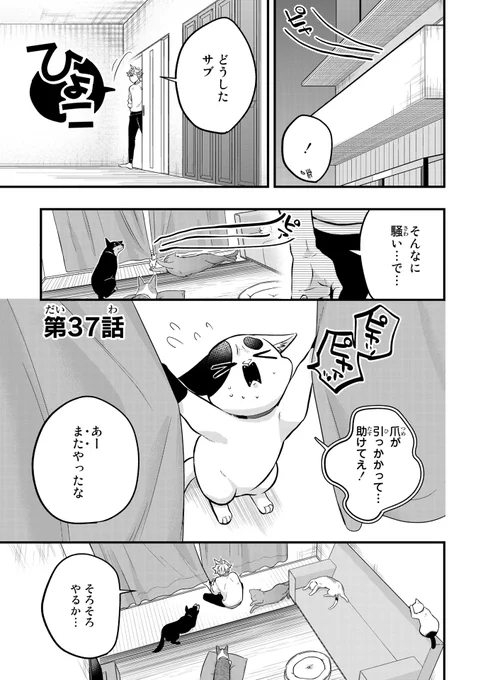 【5/10更新】
拾われ子猫と元ヤクザ/カミムラリドル
第37話 触れるものみな傷つけてきた……。
https://t.co/0rQU2vmsN9 