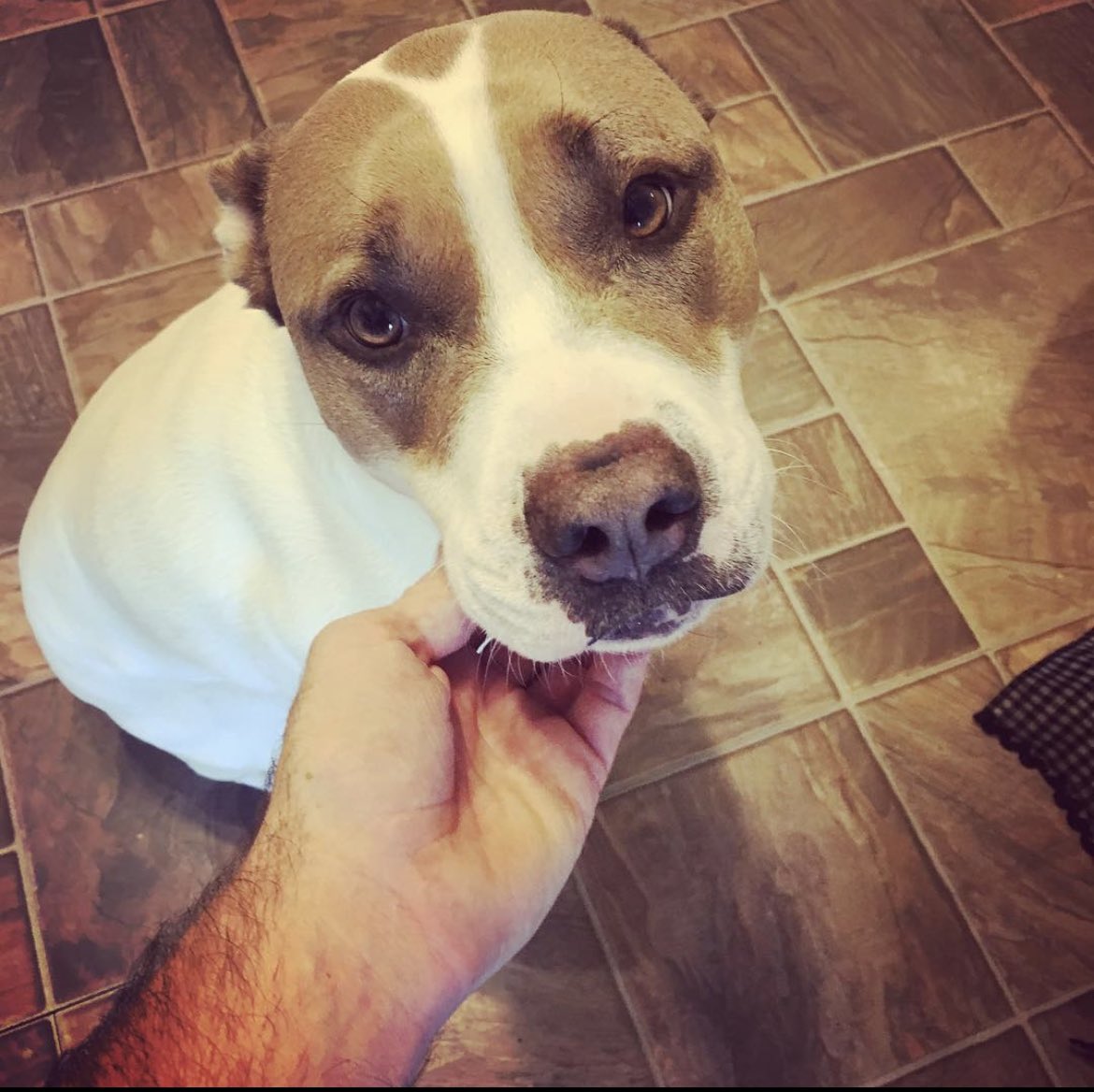 Jason Nark tweet media