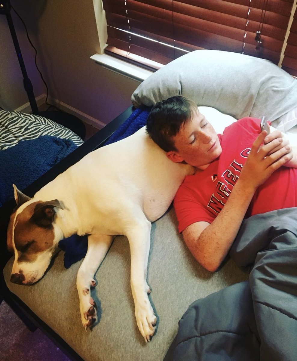 Jason Nark tweet media