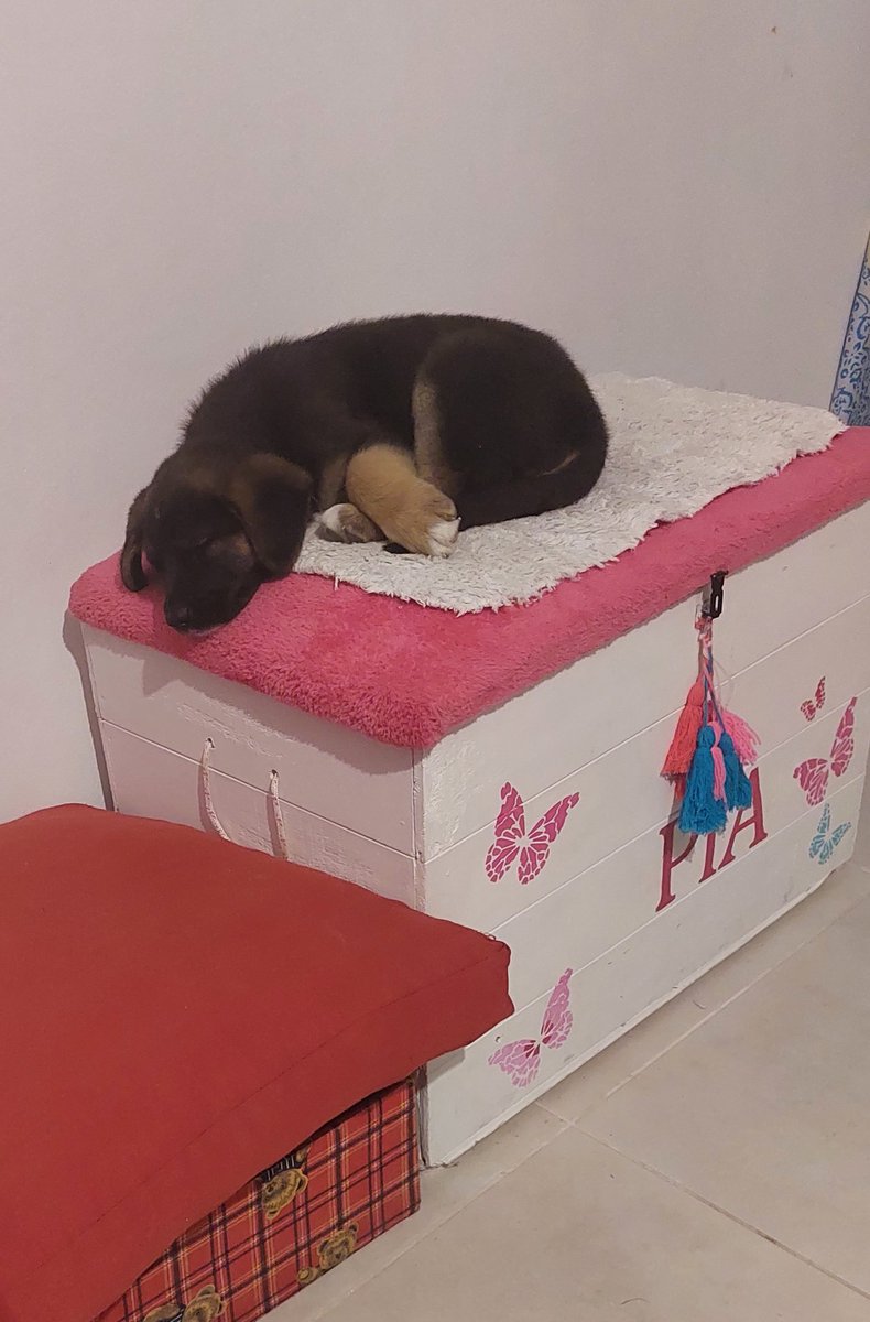 ctalexandra's tweet photo. Un poco alto el colchón pero bueno 😅 https://t.co/Oz8CC6RBSO