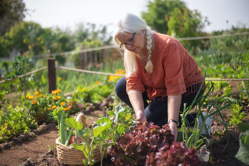 Health &amp; Wellbeing Benefits of Home Gardening | seekingwellnesslcsw.com/health-wellbei…