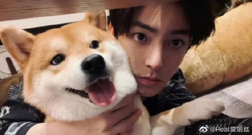 HaoYe ★520★ ♡*lover🍬 👍✌️昊也 **NeoYeah♡♥️💚💜☀️🌌 tweet media