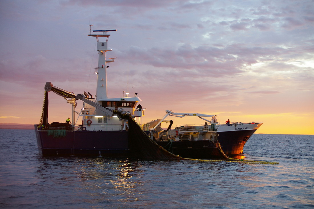 MSCbluefishtick's tweet photo. Australian fisheries receive MSC cash boost to protect marine biodiversity. Tagging skate to monitor their survival rates and a specialist knowledge exchange between Australian and British fishers are amongst the Australian projects being funded by the Marine Stewardship Council (MSC) Ocean Stewardship Fund. https://t.co/BVVFfK1l4n #marinebiodiversity #BigBlueFuture