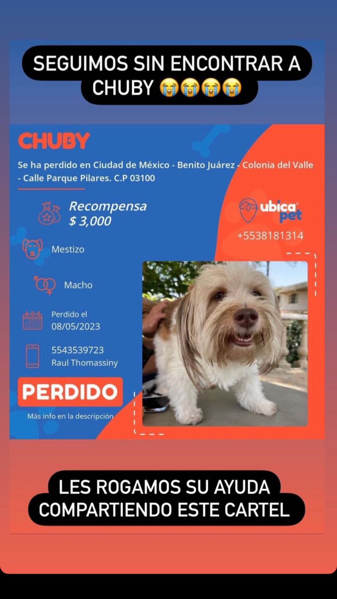 flores_animales's tweet photo. Me pueden ayudar compartiendo por favor? 🙏🏽
@MajoMartinezP_ @Alina_Gag https://t.co/rolK8FayNl