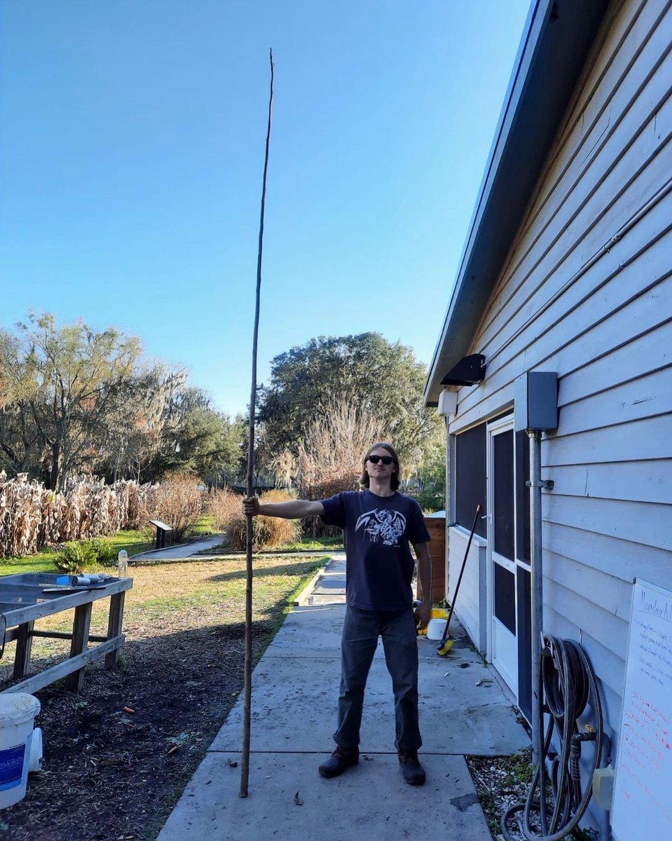 UF Field & Fork tweet media