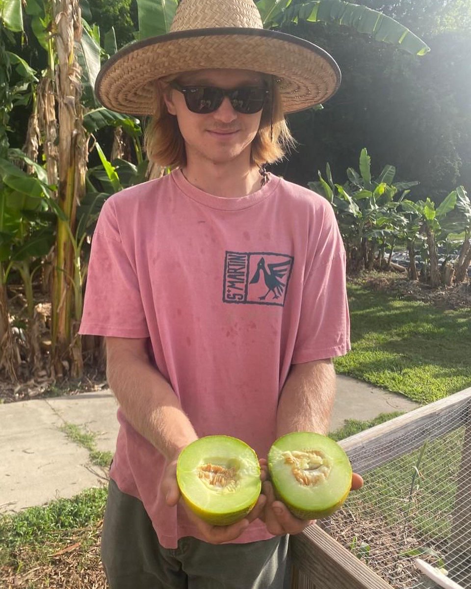 UF Field & Fork tweet media