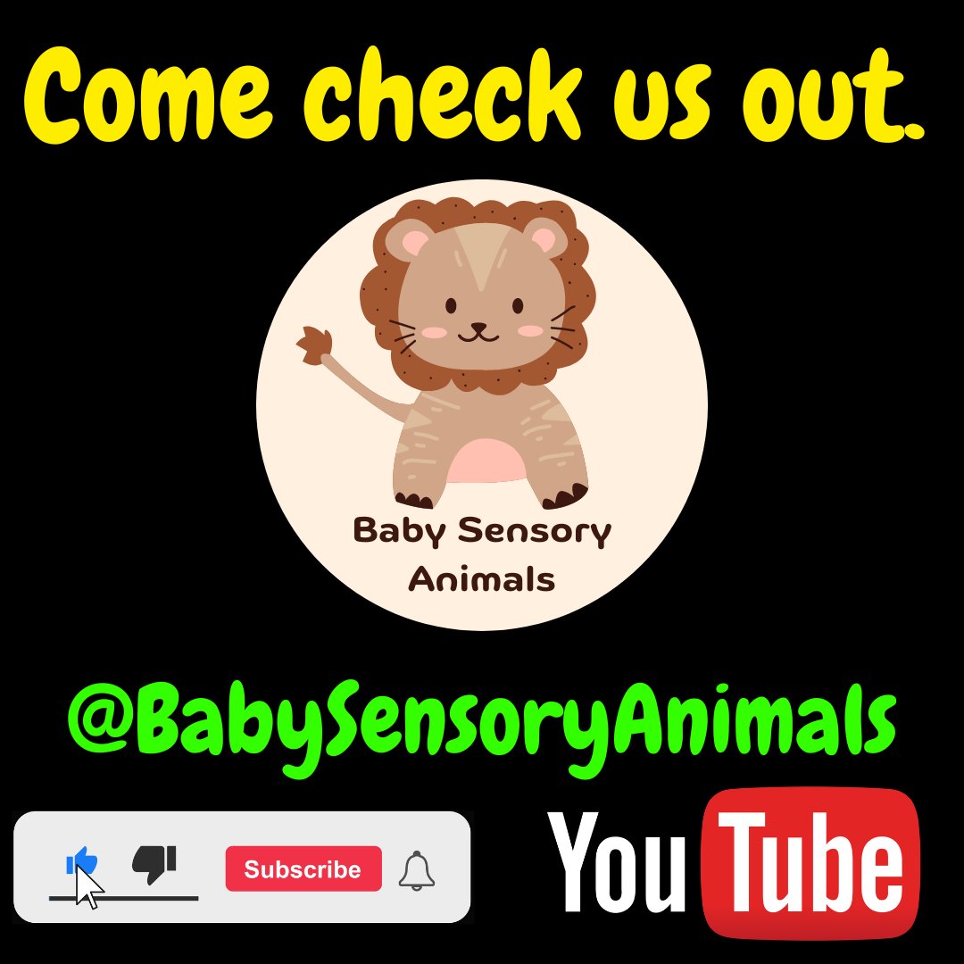 Which of these is your Baby's favourite video? 😊😊😊 Let us know in the comments...  💖💖

Hope your not missing out...
--> youtube.com/playlist?list=…

#babysensory #sensoryplay