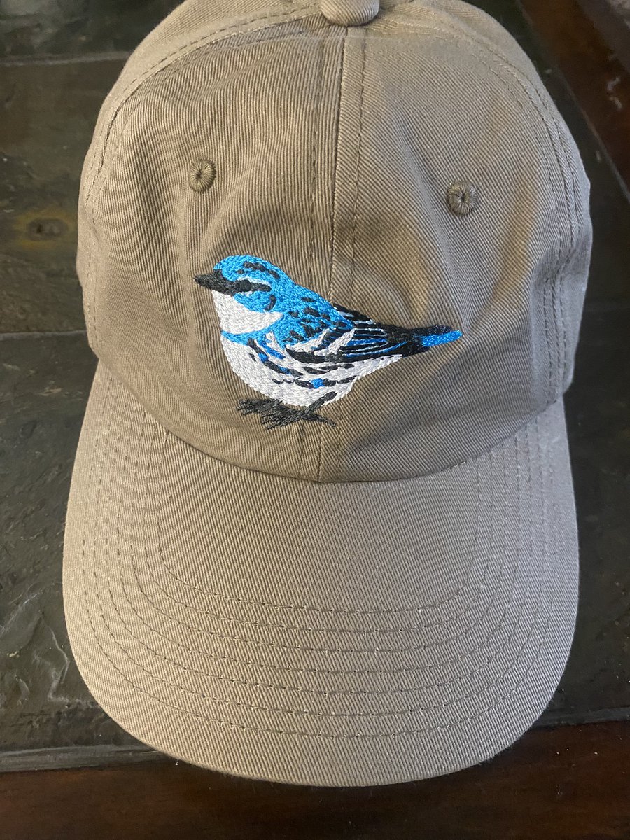 Shannon Curley tweet media