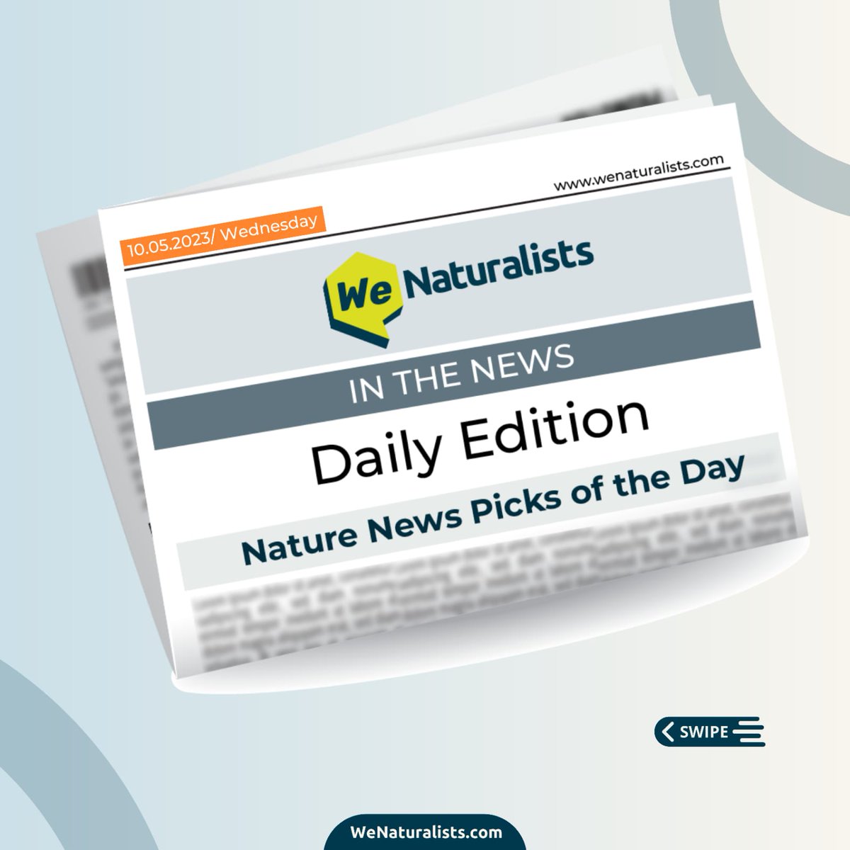 WeNaturalists's tweet image. @WeNaturalists brings you the ‘Daily Edition’, a hub for the global latest nature news picks for you. 

Our Top 3 Picks for Today:
- Universities lead the way in #climateaction. By #ClimateTracker  sentientmedia.org/campus-hotspot…