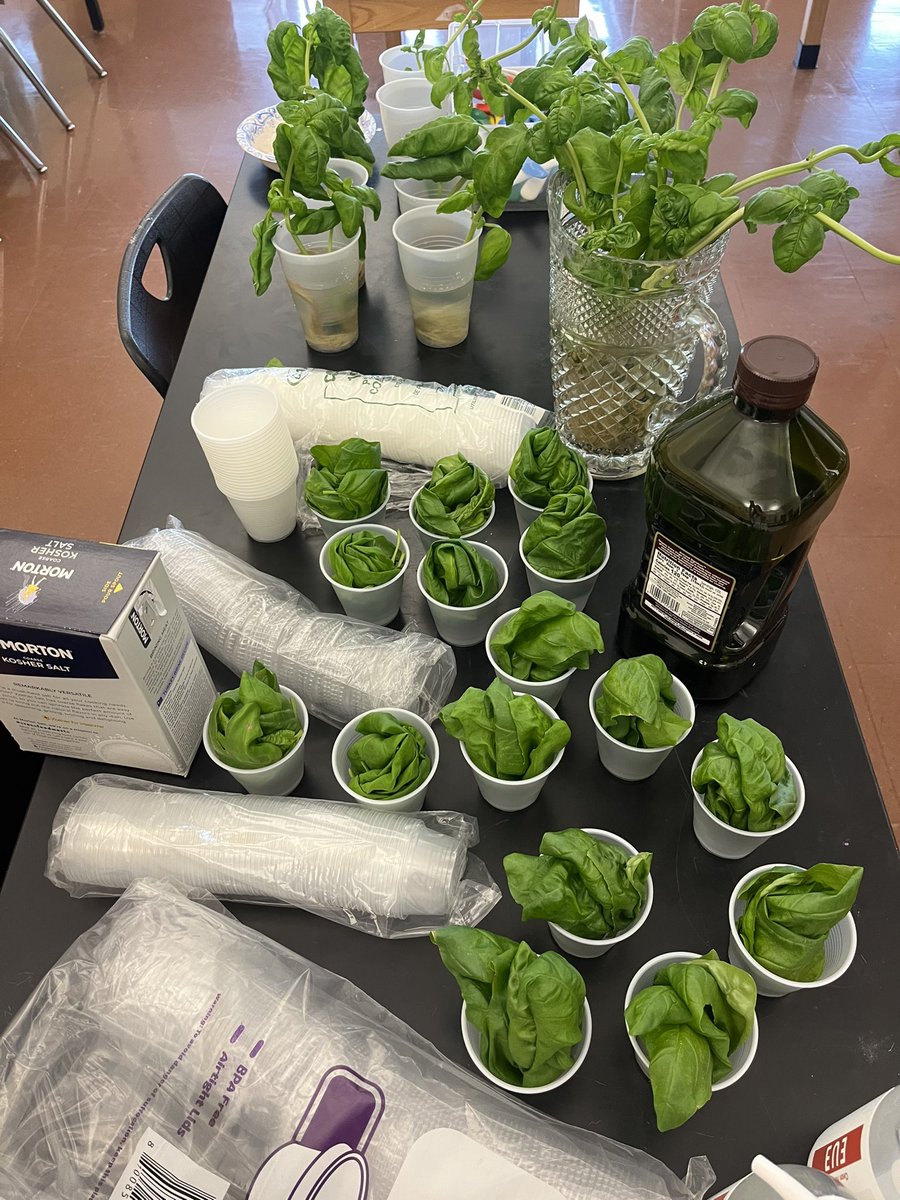 UDHS_FCS's tweet photo. Earlier this week, Honors CD students traveled to FWES to teach 4th grade students about our hydroponic farm. After learning about the farm, 4th graders used basil from the farm to make a basil &amp; garlic infused olive oil. https://t.co/aegKZYgp2y