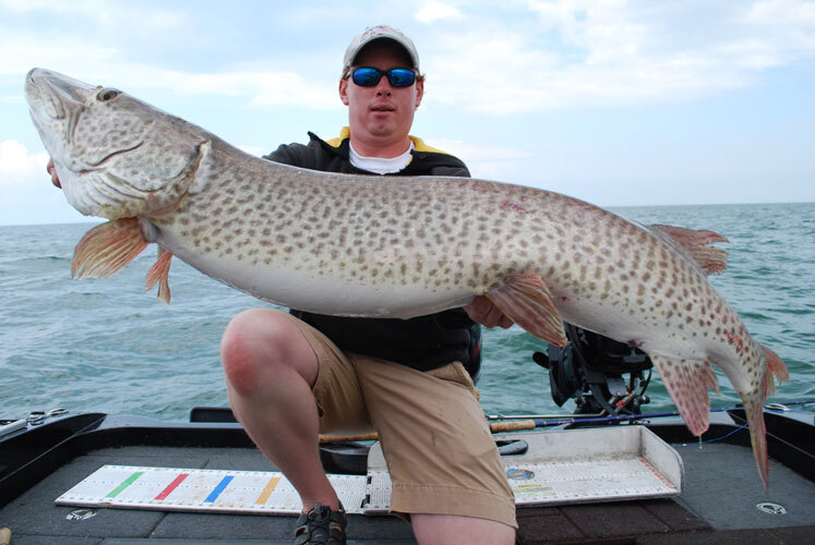 MuskyInsider's tweet photo. @spencerbermanfish catches a LOT of big fish.... I mean check out the belly on this Great Lake BRUTE! We're excited to have Spencer involved as a speaker for Musky Insider PRO.

Check the link in our bio for more info! (signup deadline is this Wednesday) https://t.co/EvLTpF3fdz