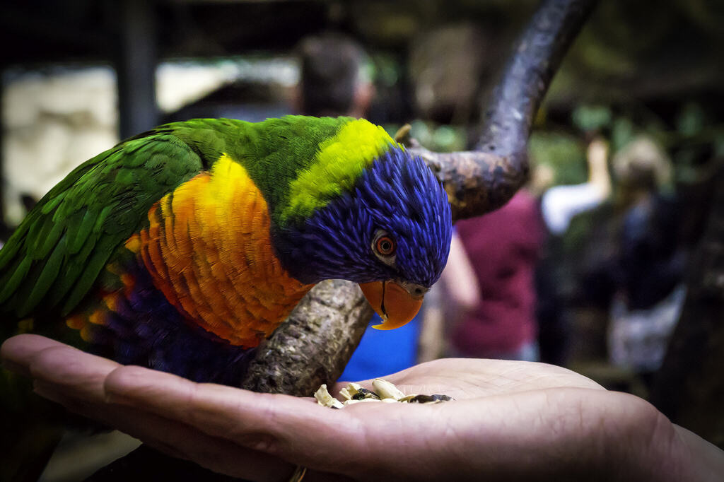 iNTeRNeT 2.0 tweet media