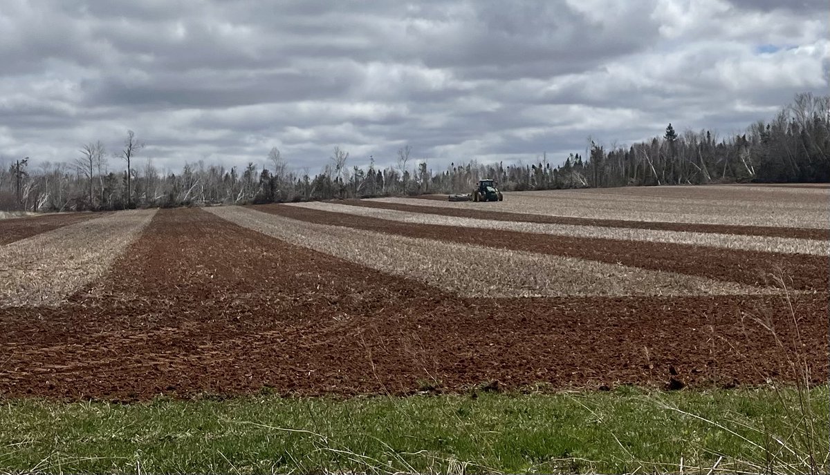 Cloudy chilly windy morning.   <a href="/JohnDeere/">John Deere USA</a> <a href="/GDEPrecisionAg/">Green Diamond Precision Ag</a> field stripes.  #Plant2023 #bringonthesun