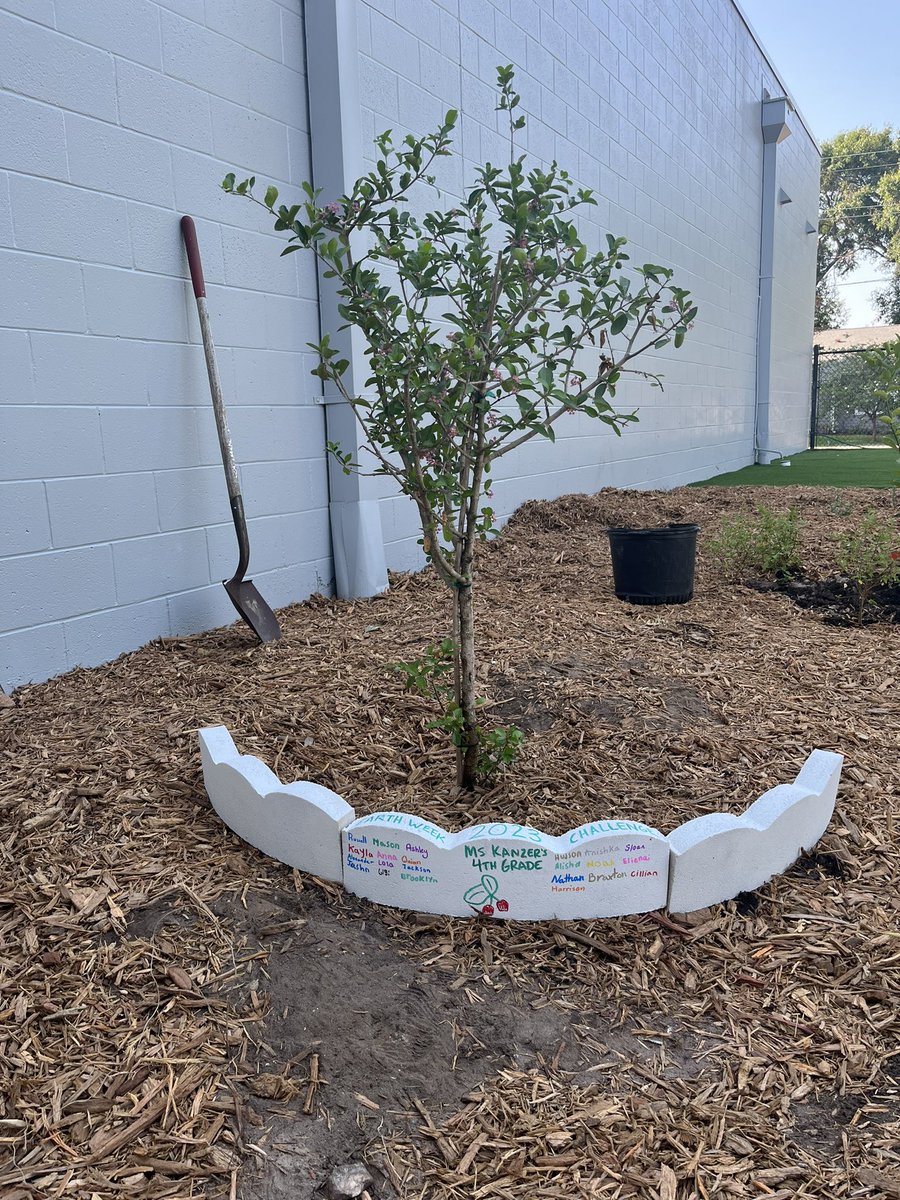 Leila Kanzer tweet media