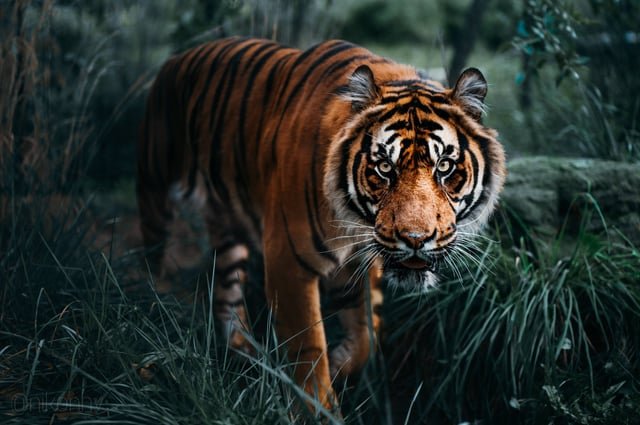 I have 899 followers. Can a #writerslift get me to 1,000? Please #retweet if you see this, and share your #books, #stories, #poems, #WIP etc. I will retweet and #followback as many as I can!