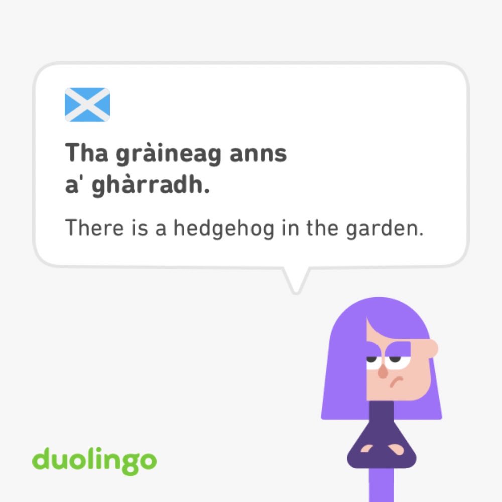 The lovely person recording this sentence for #Duolingo #Gaelic let out an unrestrained chuckle at the end and it was the most human thing ever. Sooo glad this made it through QA and hoping for more!! 🦔 🪴