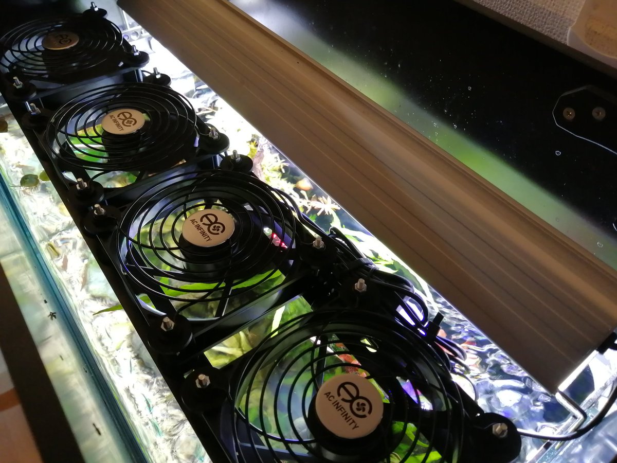 JapanLifeTV's tweet image. Der Sommer kann kommen!🌞 Hab jetzt endlich mein Aquarium auf den Sommer vorbereitet. 🐟
#sommer #Aquarium