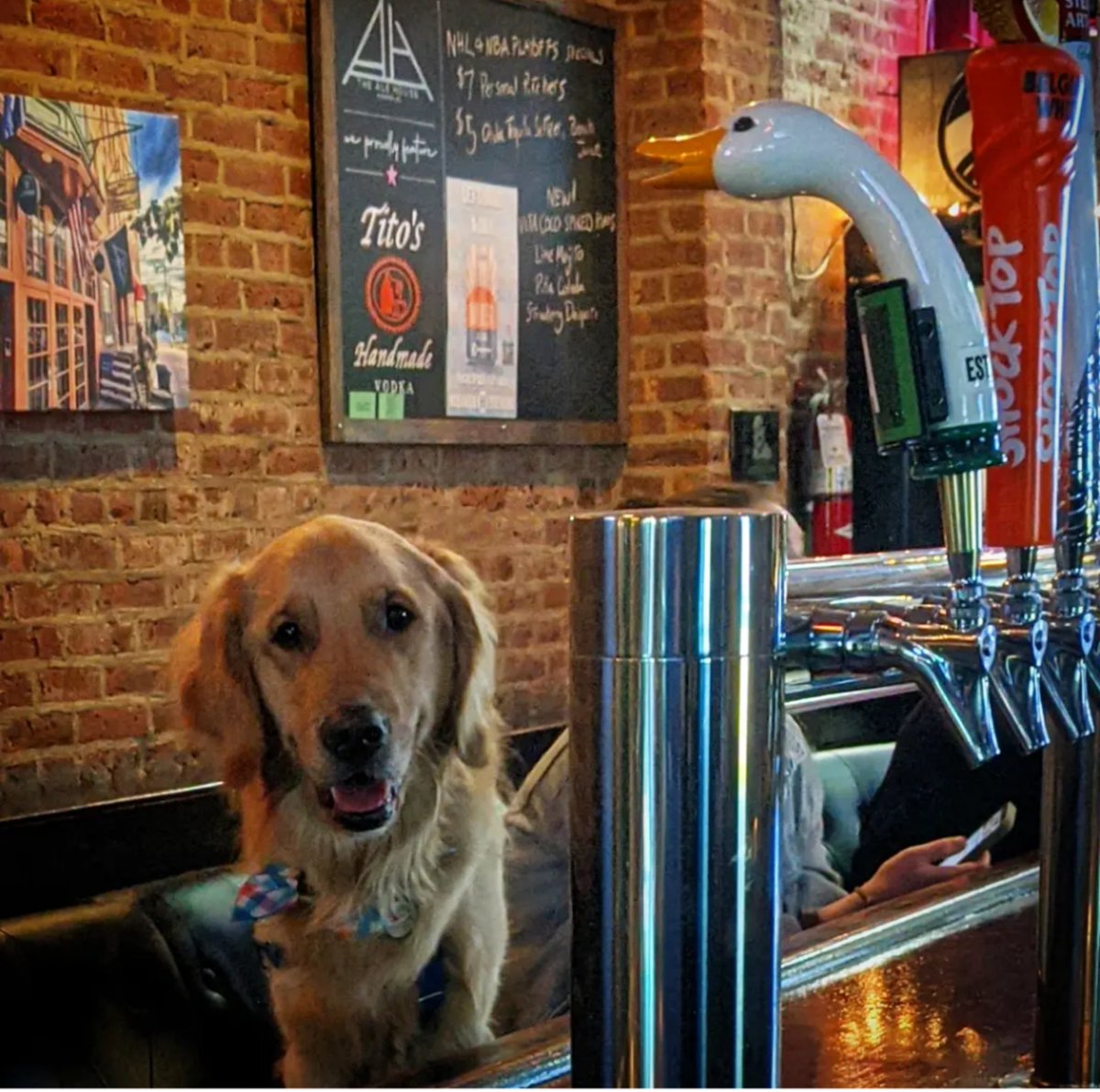 thealehouse1034's tweet photo. Nintendo's Duck Hunt.
11th & Willow
#Hoboken
#dogfriendly🐕 #billards🎱 #shuffleboardtable🥌 #darts🎯 #trivianight 🤓 #popcorn🍿#dogsofhoboken #dogfriendly🐕 #dogsofinstagram #dogsinbars🐾 https://t.co/396T8weIbx