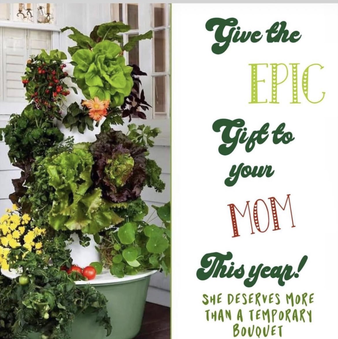 juicepluslisa's tweet photo. Need a unique Mother’s Day gift that keeps on giving? 
Order ASAP 
https://t.co/6I459ziCFV https://t.co/v3Hk4K4FRn