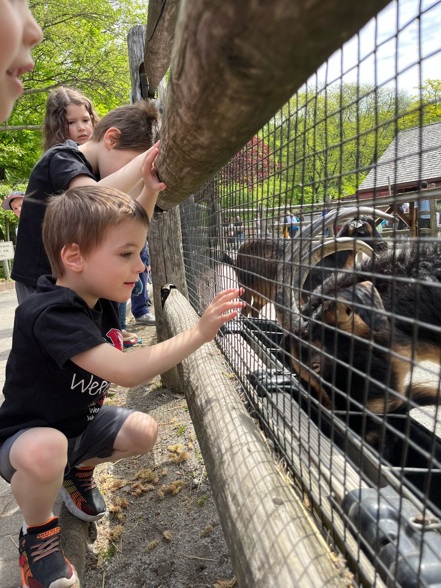 Ms. Thum tweet media