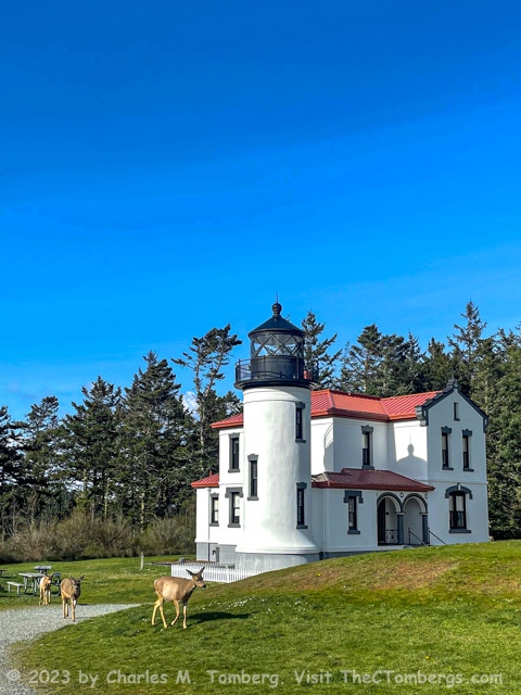 CharlieTomberg's tweet photo. Deer on the Move at the Fort Casey Lighthouse
At Fort Casey on Whidbey Island, WA deer roam the lush grounds near the lighthouse.
Visit https://t.co/q5Om0ODakX
© 2023 by Charles M. Tomberg.
#TheCTombergs #WhidbeyIsland #FortCasey #lighthouse #deer #WashingtonState https://t.co/gMnQZelrl4