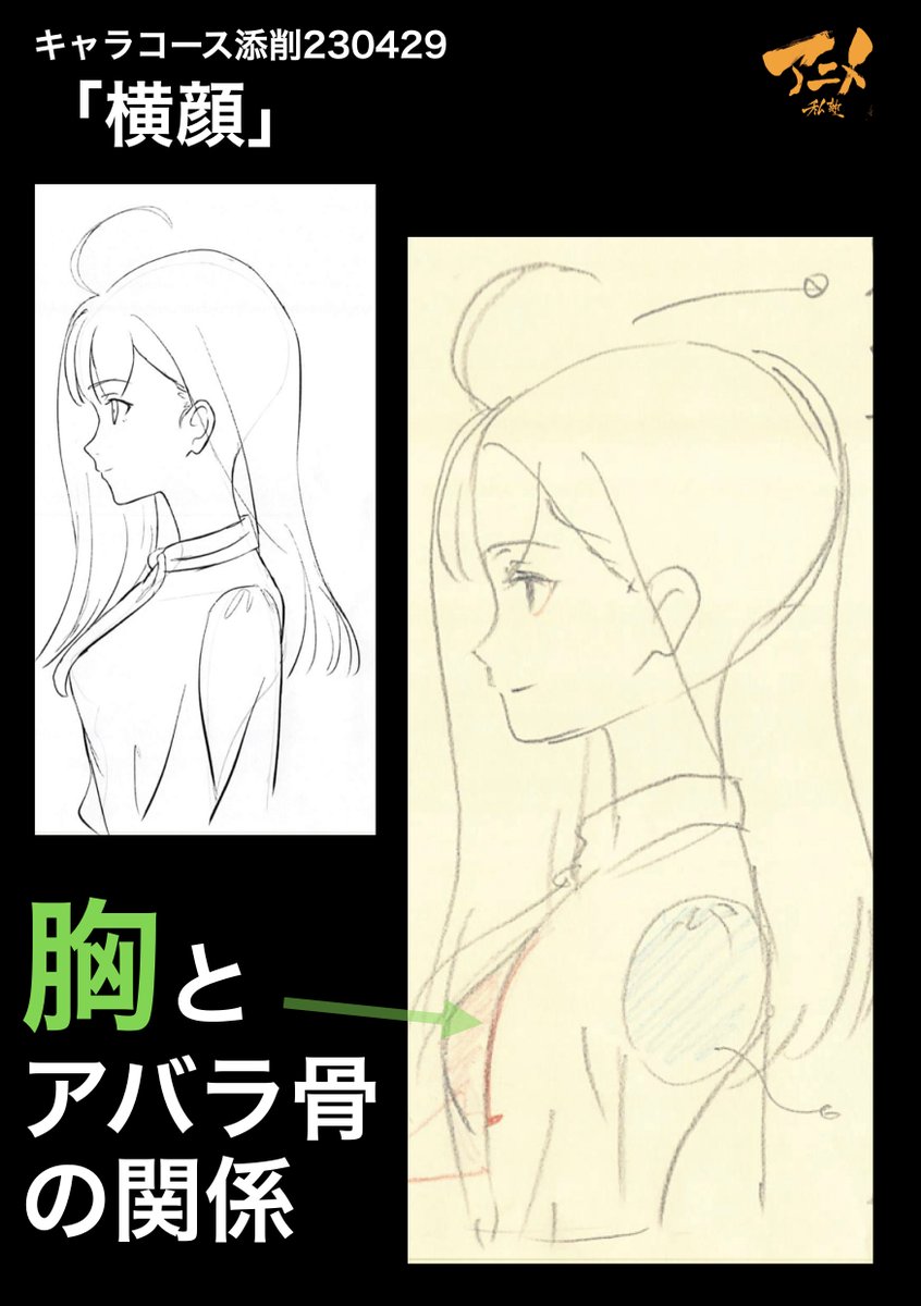 キャラコース添削230429「横顔」 ●胸とアバラ骨の関係