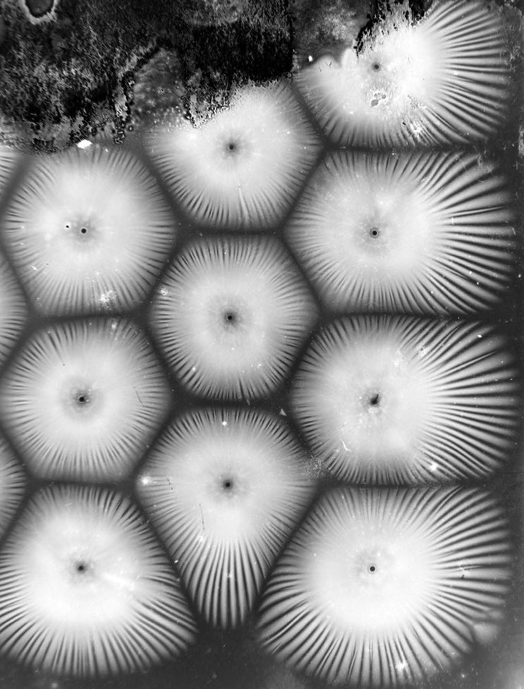 OakieJs's tweet photo. Thomas Burton Kinraide (1864-1927), &amp; his electrical discharge photos. He invented Kinraide coils, a resonant transformer circuit like a Tesla coil, used to provide electricity to X-ray tubes
These photos made me gasp. There is something about reproducing them w/ glass dry plates https://t.co/xN9ZGrijCT