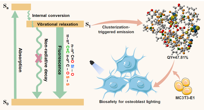 AggregateOA's tweet photo. New Research Article🔬
"Construction of #fluorescent #hyperbranched #polysiloxane-based #clusteroluminogens with enhanced quantum yield and efficient cellular lighting" by Hongxia Yan & Wenhao Zhou et al. @NPUintl @Wiley_Chemistry #imaging
Check👉https://t.co/bm3sfbPvw6 https://t.co/44xbPf8CNh
