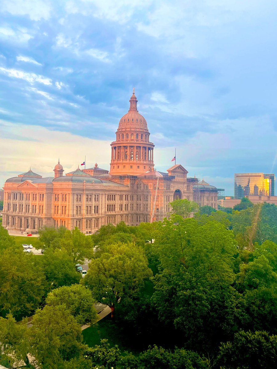 DanielM_Warner's tweet photo. She loves me, she loves me not. She loves me, she loves me not.
She loves me, she loves me not.
You get the point. #txlege #howmanydaysleft #GoldenHour https://t.co/TWM8G2RP06