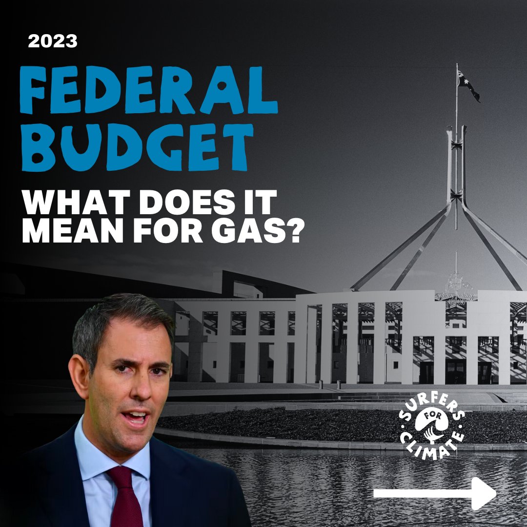 Surfers for Climate tweet media