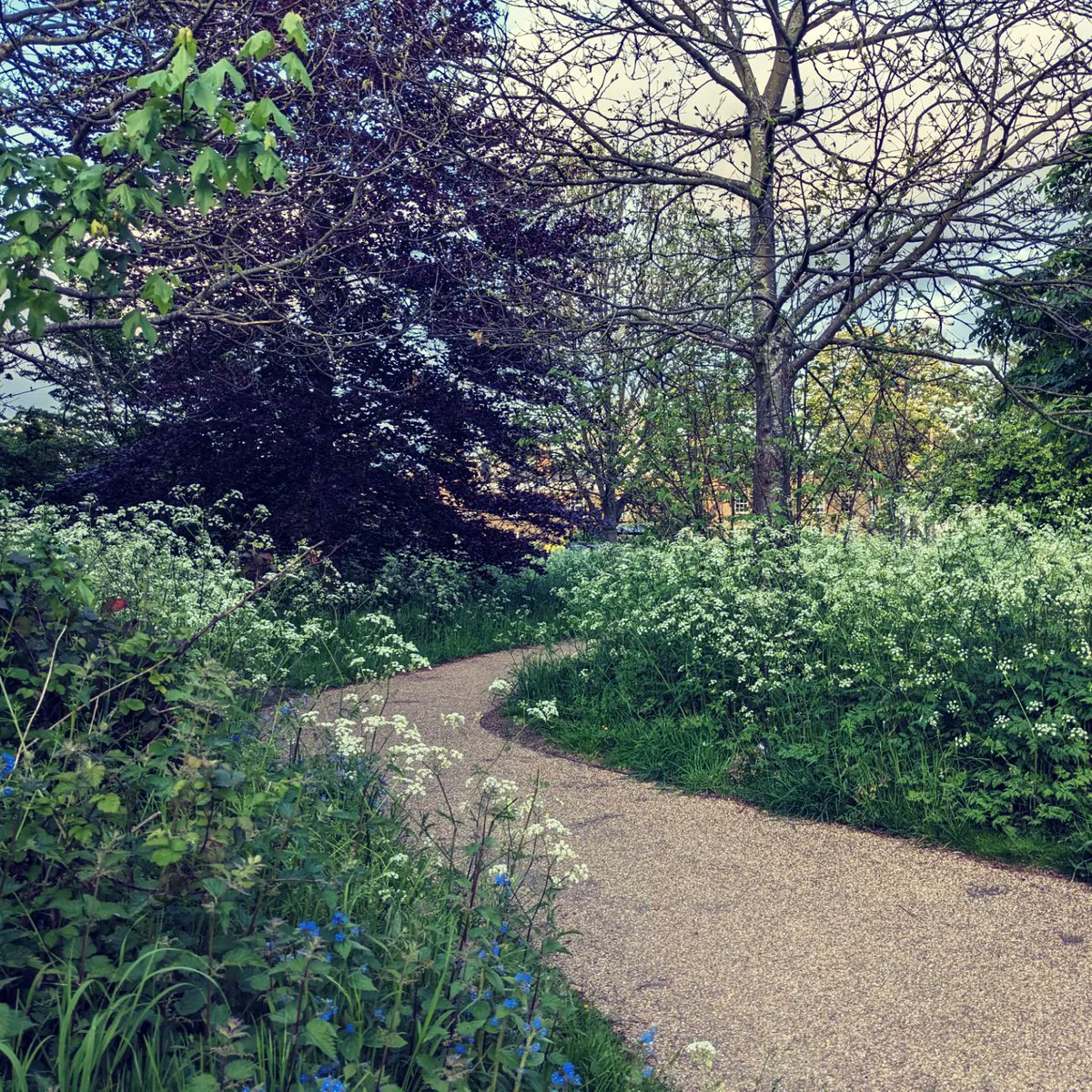 On my run the eve before heading to #Leeds for a conference on women & girls' safety in #parks, I noticed how often I avoid taking a route through #urbangreenspace. Sometimes the path is too secluded or I can't see exits or what's around a corner (esp in #nomowmay). #saferparks