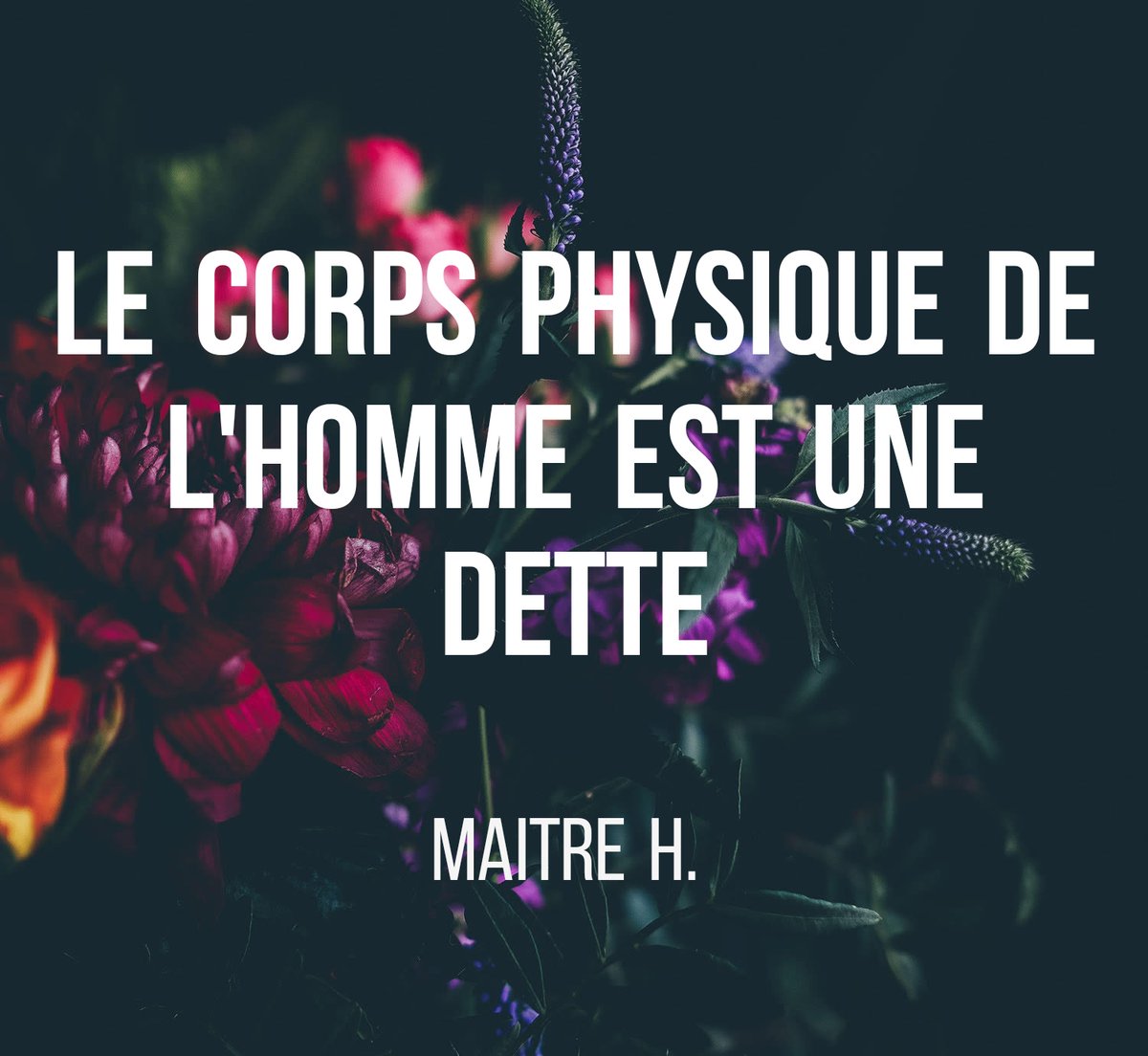 scrappy2dead's tweet photo. #Maitre_H https://t.co/tlXgwUp0DV